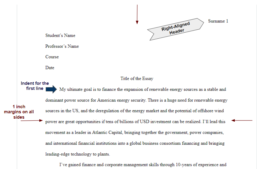 essay format double spaced